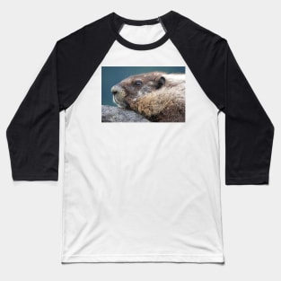 Marmot in Mount Rainier National Park Baseball T-Shirt